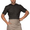 Grembiule Vita Unisex Ballantyne Tortora