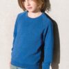 Felpa Bambino BIO Manica Raglan